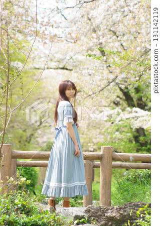 A middle-aged Japanese woman surrounded by cherry blossoms in full bloom 131142119