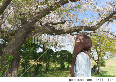 一位日本中年婦女被盛開的櫻花包圍 131142142