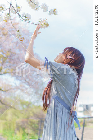Portrait of a middle-aged woman with cherry blossoms in full bloom Portrait of a middle-aged woman with cherry blossoms in full bloom 131142200