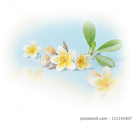 雞蛋花和葉子水彩風格 雞蛋花和葉子水彩風格 131142807