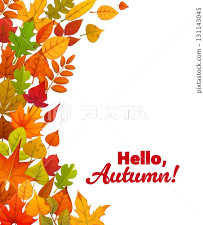 Hello autumn greeting quote text vector banner with vertical border of season fall leaves. Cartoon orange, green, yellow and red foliage of maple, oak and chestnut trees, Autumn season greeting banner 131143045