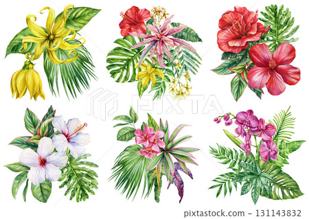 tropical flowers and palm leaves set watercolor painting hibiscus orchid ylang ylang exotic botanical illustration floral 131143832