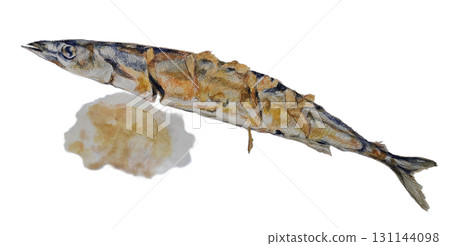 Grilled saury and grated radish illustration 131144098