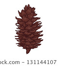 Hand drawn brown fir cone. Holiday decor. Vector illustration. 131144107