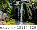 Waterfall cascading over moss-covered rocks in a serene natural environment with lush greenery 131144329