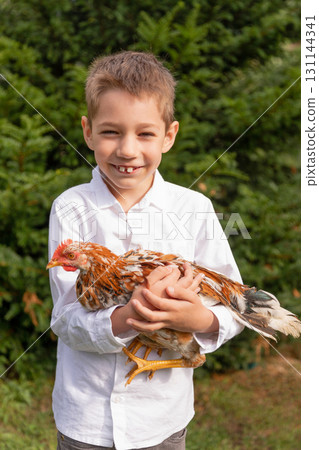 Raising chickens at home. A happy boy holds a chicken in his hands. Fowl Raising chickens at home. A happy boy holds a chicken in his hands. Fowl 131144341