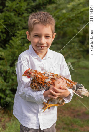 The boy tamed the chicken. Childhood in the village. Summer holidays in the country The boy tamed the chicken. Childhood in the village. Summer holidays in the country 131144345