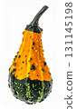 Close Up of a Decorative Orange and Green Gourd on White Background 131145198