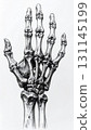 Detailed Black and White Sketch of a Human Hand Skeleton in Medical Illustration Style 131145199