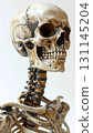 Detailed Anatomy Skeleton with Weathered Skull on White Background Studio Shot 131145204