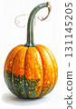 Orange and Green Gourd with Long Stem on a White Background 131145205