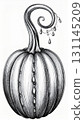 Monochrome Pumpkin with Swirling Stem and Seed String Illustration 131145209