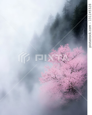 Cherry blossoms open gracefully at their base, surrounded by misty mountains, capturing a serene and peaceful atmosphere 131145328