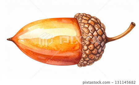 Watercolor Illustration of Single Acorn in Autumnal Hues on White Background 131145682