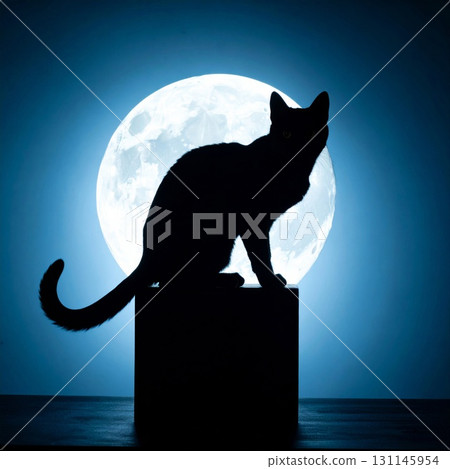 Black Cat Silhouette Sits Quietly Against Full Moon on Dark Night with a Blue Glow Backdrop Black Cat Silhouette Sits Quietly Against Full Moon on Dark Night with a Blue Glow Backdrop 131145954