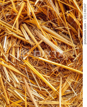 Close Up of Golden Yellow Straw Texture Detailed Agricultural Harvest Background 131146147