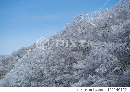 冬天的風景，白霜 131146152