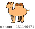 camel 131146471