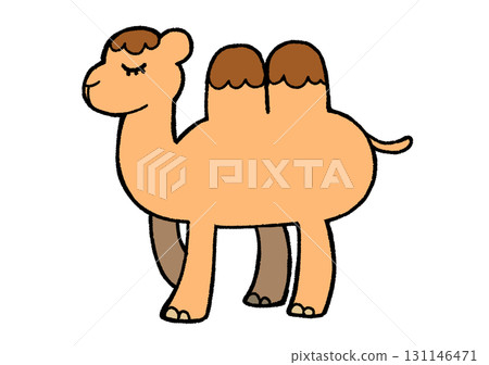 camel 131146471
