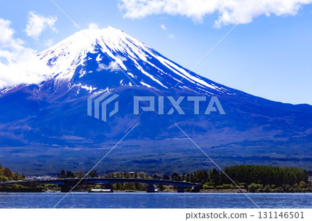 Fuji and Kawaguchiko Ohashi 131146501