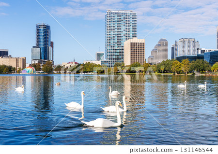 Orlando skyline at Lake Eola Park with swans downtown in fall season in Florida in the United States 131146544