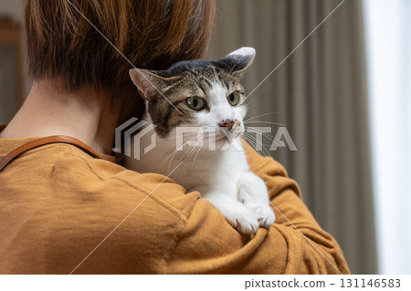 Kijitora cat hugging a cat 131146583
