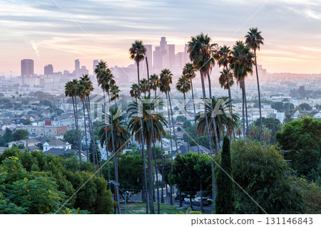 Los Angeles skyline and downtown with palm trees at sunset in California United States 131146843