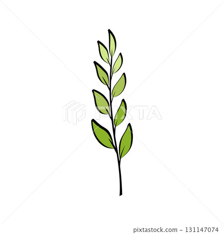 Botanical branch with foliage leaves 131147074