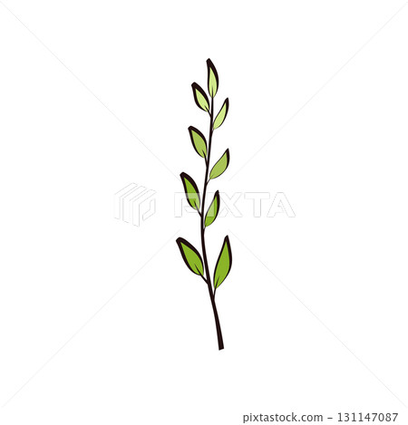 Sprigs of greenery for floral decoration 131147087