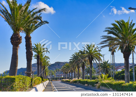 [Yokosuka City] Yokosuka Coast Street 131147414