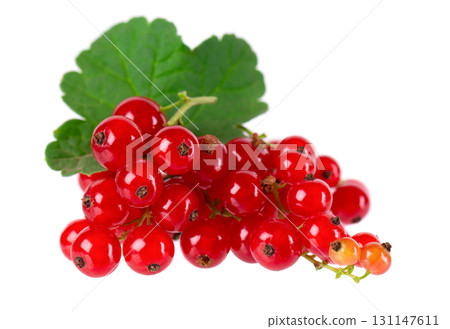 Red currant isolated on white background. Redcurrant or Ribes rubrum ripe berries with green leaves. 131147611