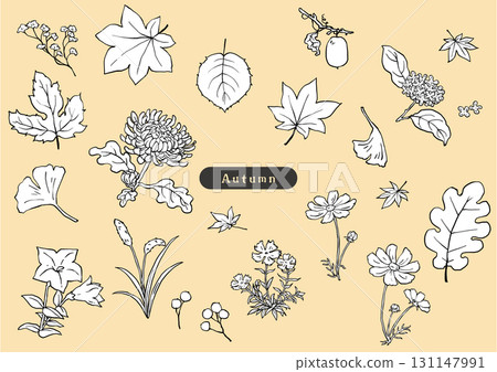 Simple monochrome sketch set of autumn flowers Simple monochrome sketch set of autumn flowers 131147991