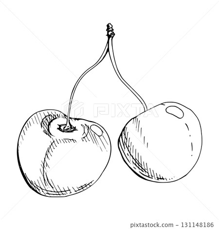 Sweet sour line cherry berries on stems, hand drawn vector ink, scattered ripe cerise drupes. Composition illustration isolated on white. For restaurant, cafe dessert menu, wedding, farmers market Sweet sour line cherry berries on stems, hand drawn vector ink, scattered ripe cerise drupes. Composition illustration isolated on white. For restaurant, cafe dessert menu, wedding, farmers market 131148186