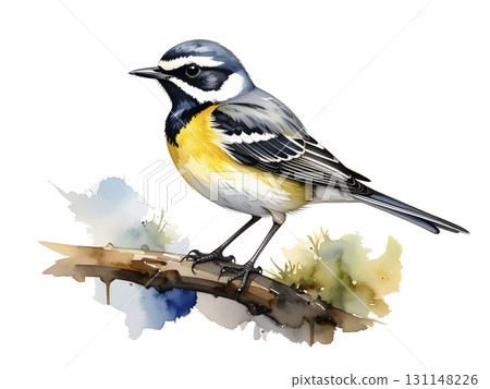 Wagtail AI 產生的圖片 131148226