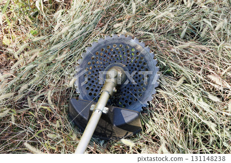 mowing image 131148238