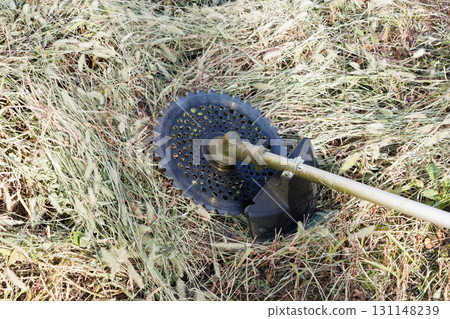 mowing image 131148239