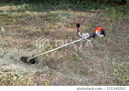 mowing image 131148261