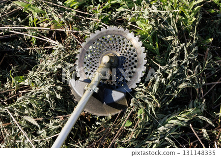 Mowing brush cutter image 131148335