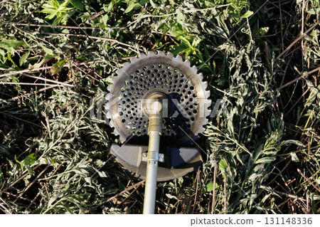 Mowing brush cutter image 131148336