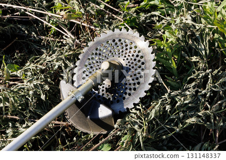 Mowing brush cutter image 131148337