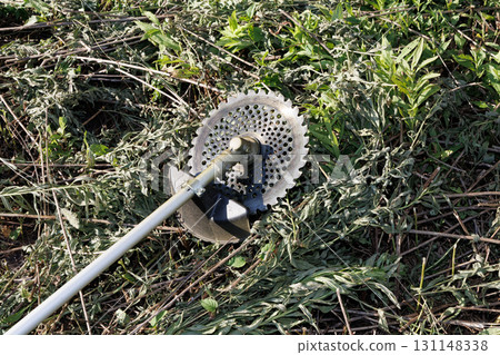 Mowing brush cutter image 131148338
