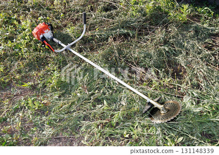 Mowing brush cutter image 131148339