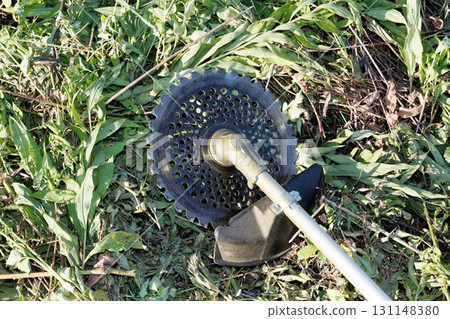 Mowing brush cutter image 131148380