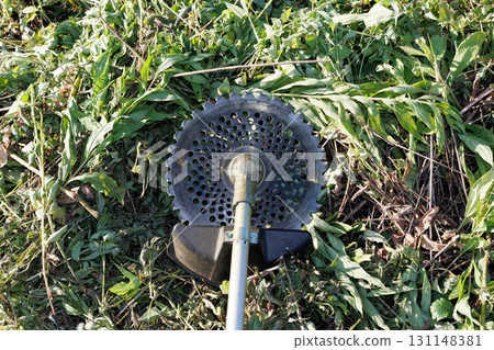 Mowing brush cutter image 131148381