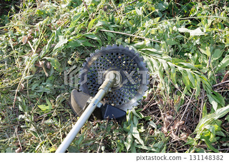 Mowing brush cutter image 131148382