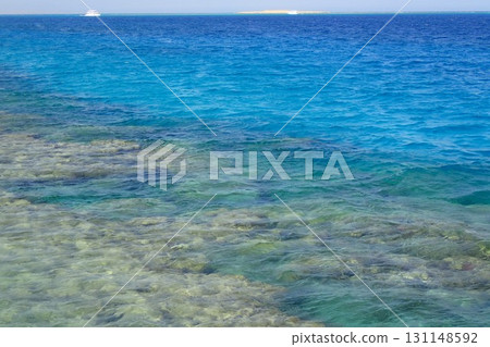 coral reef in the Red Sea coral reef in the Red Sea 131148592