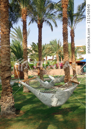 garden in the Egypt garden in the Egypt 131148640