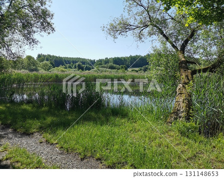 lake "mokriny" near vidnava City lake "mokriny" near vidnava City 131148653