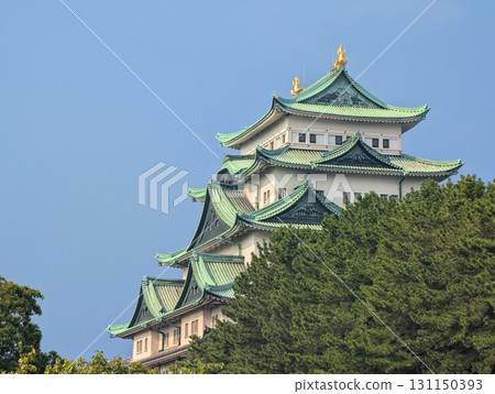 名古屋城塔位於愛知縣名古屋市 名古屋城塔位於愛知縣名古屋市 131150393