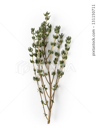 Fresh Thyme Herb Isolated on White Background Fresh Thyme Herb Isolated on White Background 131150711